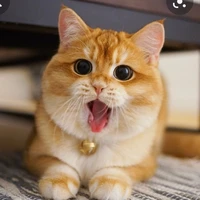 Nayu_Hệ thống