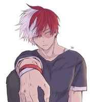 Shoto Todoroki