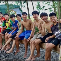 cả team