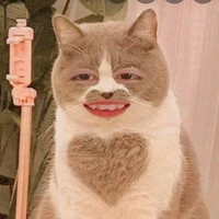 Tác giả cute