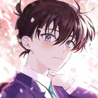 kudo shinichi(conan) 