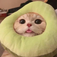 𝐊𝐚𝐲𝐥𝐢𝐧 là Con ngừi siu tốt bụngggg