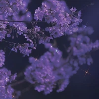 All