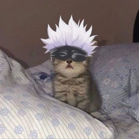 T/G:3