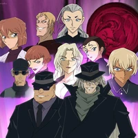 Tổ chức áo đen