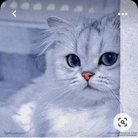 suku