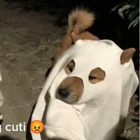 con bả