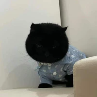 Neko