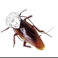Sanzu Haruchiyo