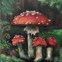🍄