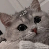 lyyk[hệ thống/e gái]