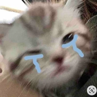 Tác giả cuti s1tg><