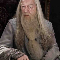 Professor Dumbledore