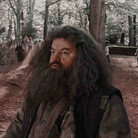 Hagrid