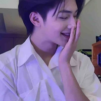 Triêu Đình Song Tử_Gemini