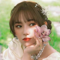Trình Tiêu