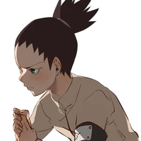 Nara Shikadai