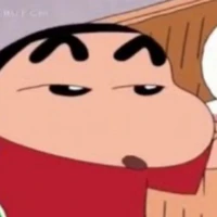 shin