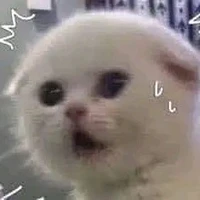 nv phụ /vai lào cg diễn đc/