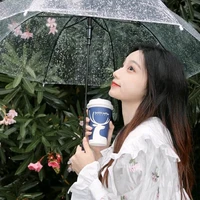 Lan Hạ Anh