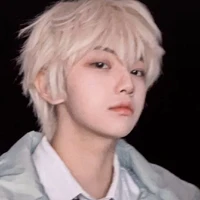 Trịnh Gia Trì_n4