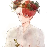 Todoroki Shouto