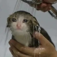 tác giả vã otp 💦