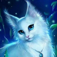 mèo ánh mắt