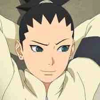 Nara Shikadai