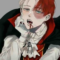 Todoroki Shouto 