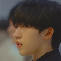 Hạ Tuấn Lâm
