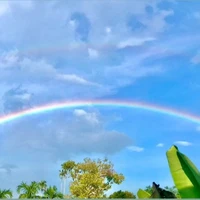 Tác Giả (Allisonn)