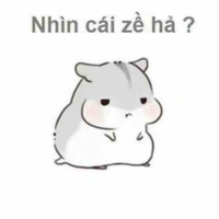 Nassi(trợ lí)