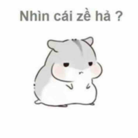 Nassi(trợ lí)
