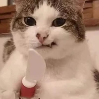 Đừng ép t ra tay=)))