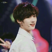 Đinh Trình Hâm (cậu)