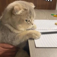 nóc