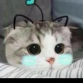 tác giả cute nek