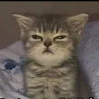 Tác giả lườiii