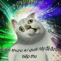 Tin Nhắn