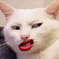 Tg mê g@y :)))