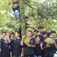 All ( tất cả )