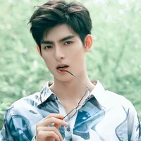 Hạo Hiên(anh trai NB)