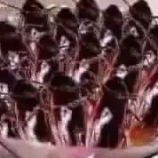 Cân tất cả nhân vật 👁👄👁