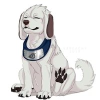 Akamaru