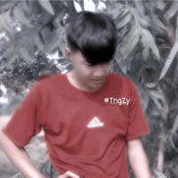 Phạm Đình Hoà