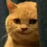 nhị hoàng tử ( cơ ngự hiên)