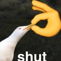 Đám con gái