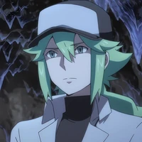 N
