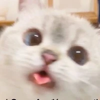 Tác giả ^^